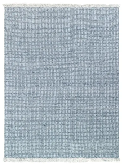 Denim Pin Dot Handwoven Indoor Outdoor Rug - full rug
